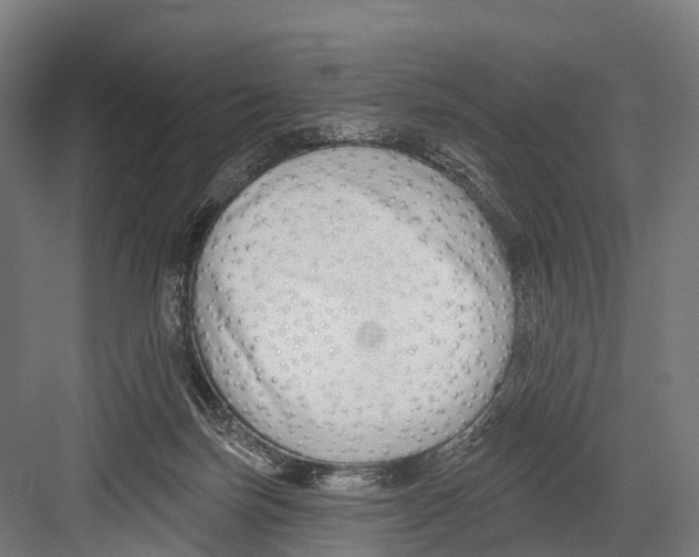 X0000081580171200702121457