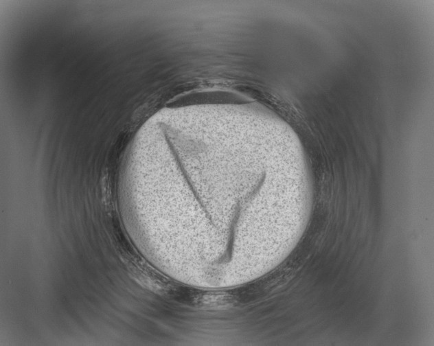 X0000081580173200702121457