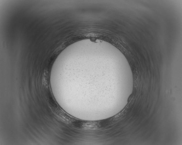 X0000081580175200702121457