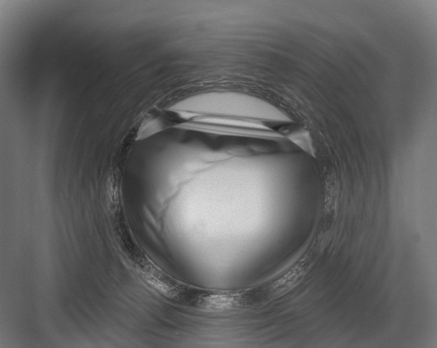 X0000081580176200702121457