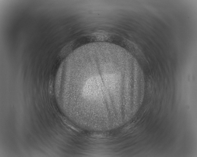 X0000081580177200702121457