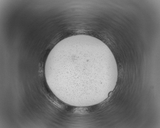 X0000081580179200702121457