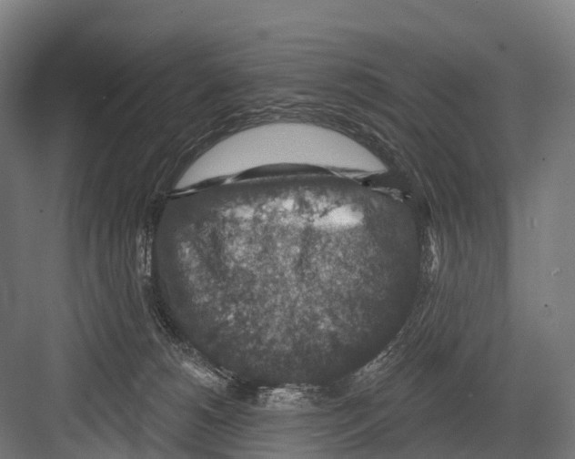 X0000081580180200702121457