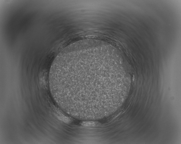 X0000081580181200702121457