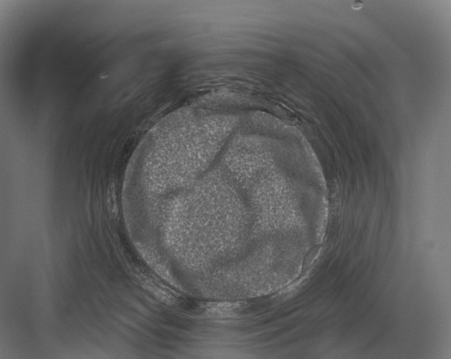 X0000081580182200702121457