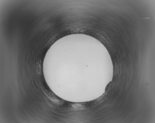 X0000081580183200702121457