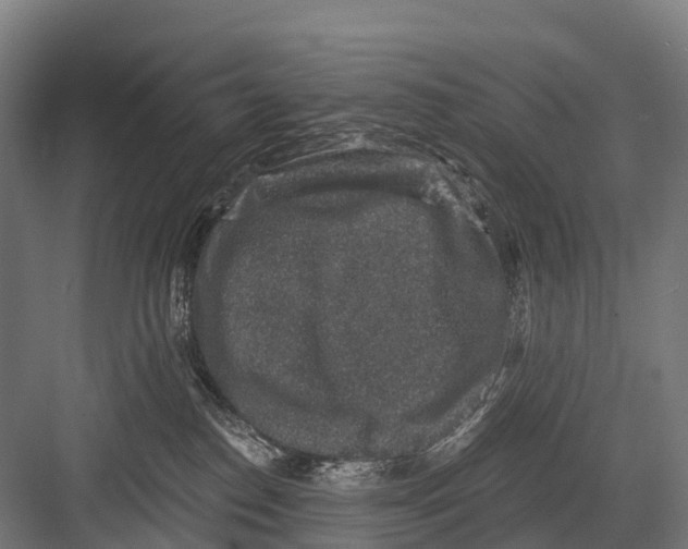 X0000081580186200702121457