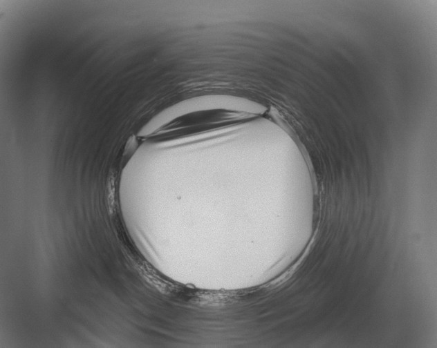 X0000081580190200702121457