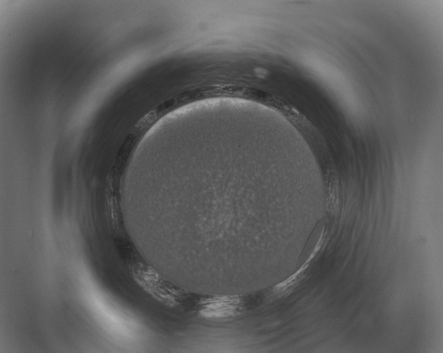 X0000081580191200702121457