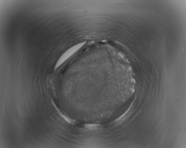 X0000081580192200702121457