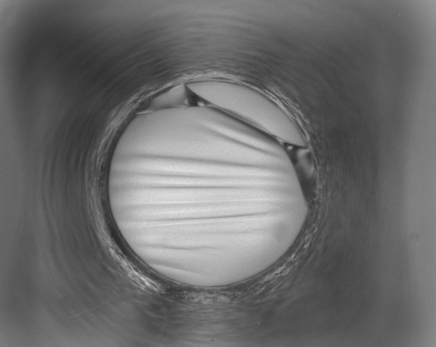 X0000081580193200702121456