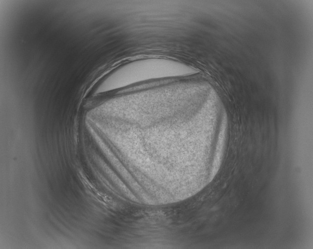 X0000081580194200702121456