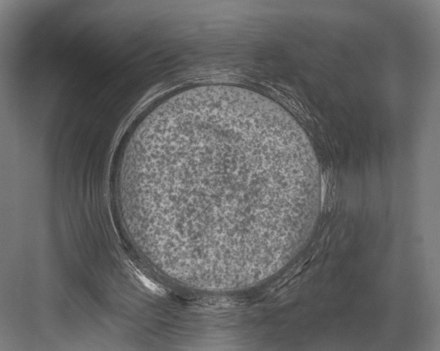 X0000081580195200702121456