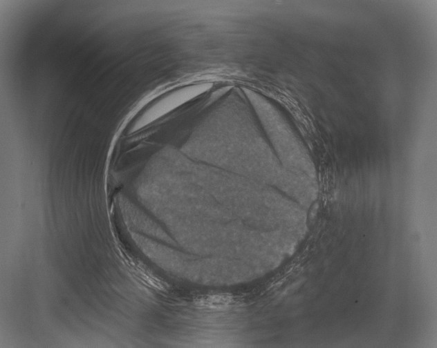 X0000081580196200702121456