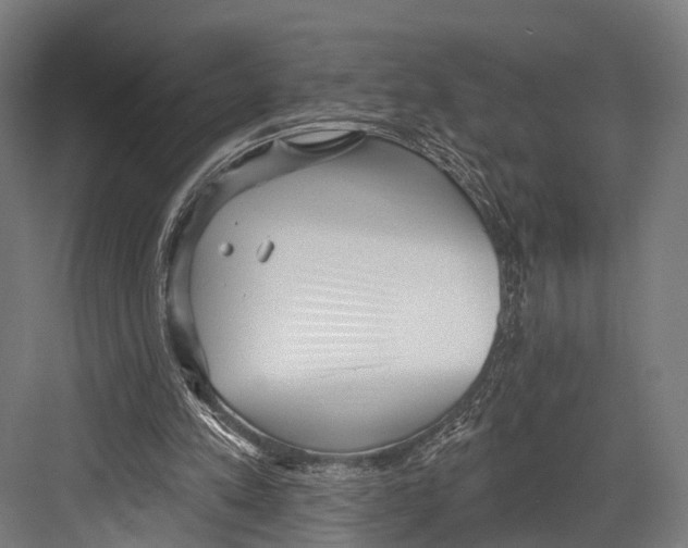 X0000081580197200702121456