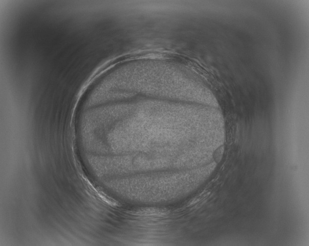 X0000081580198200702121456