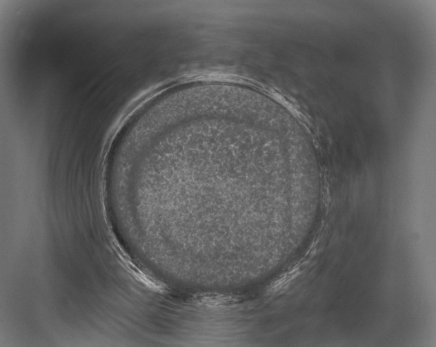 X0000081580199200702121456