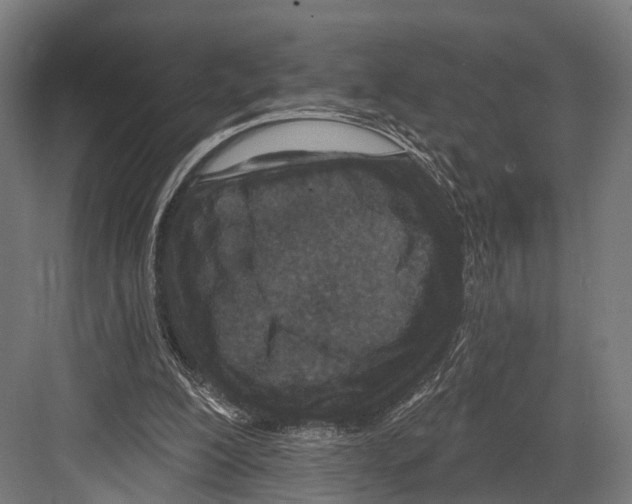 X0000081580200200702121456