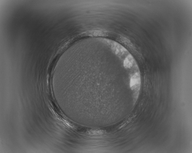 X0000081580202200702121456