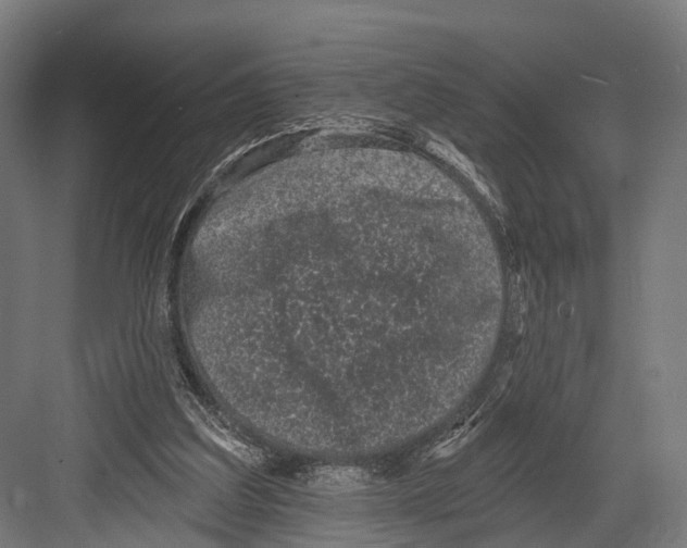 X0000081580203200702121456