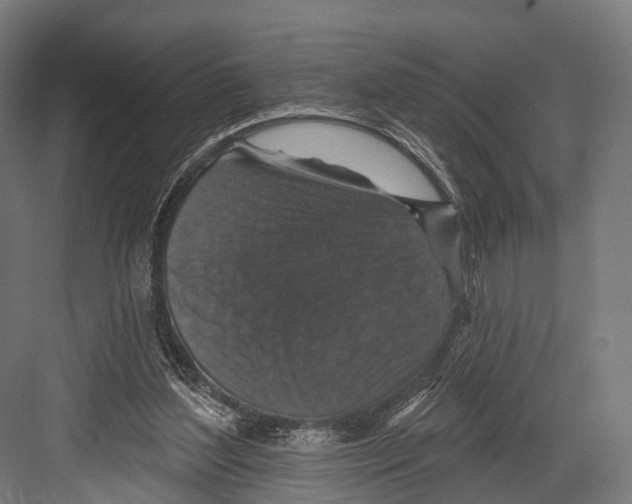 X0000081580204200702121456