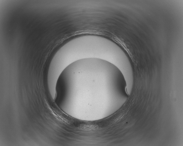 X0000081580205200702121456