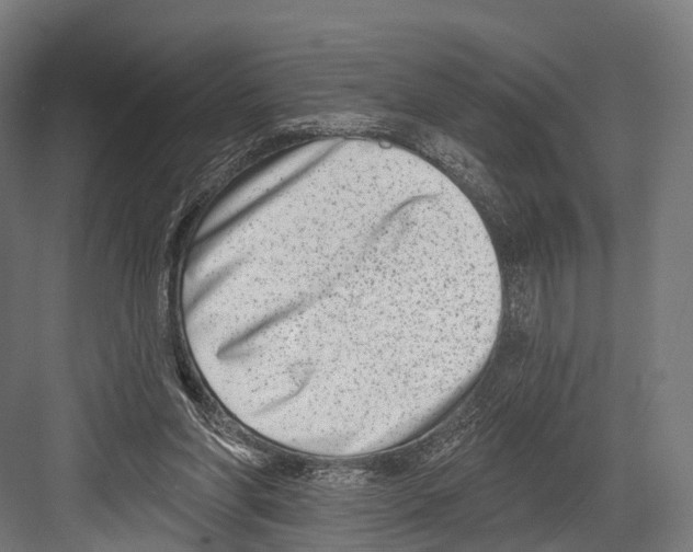 X0000081580206200702121456