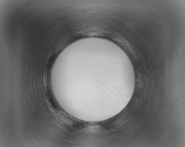 X0000081580210200702121456