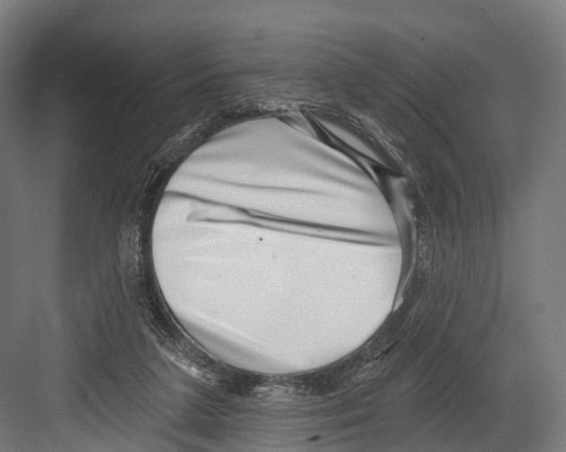 X0000081580211200702121456