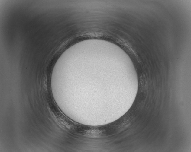 X0000081580212200702121456