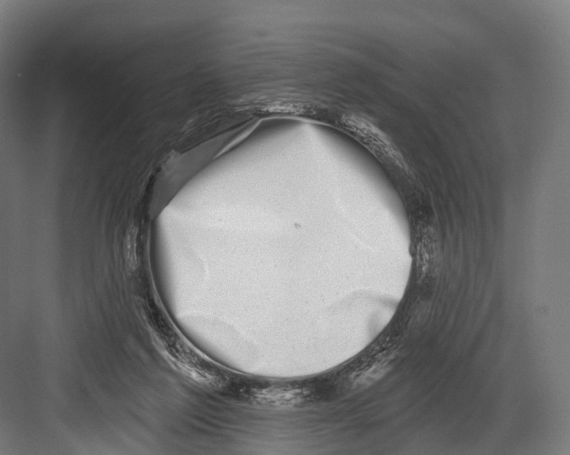 X0000081580213200702121456