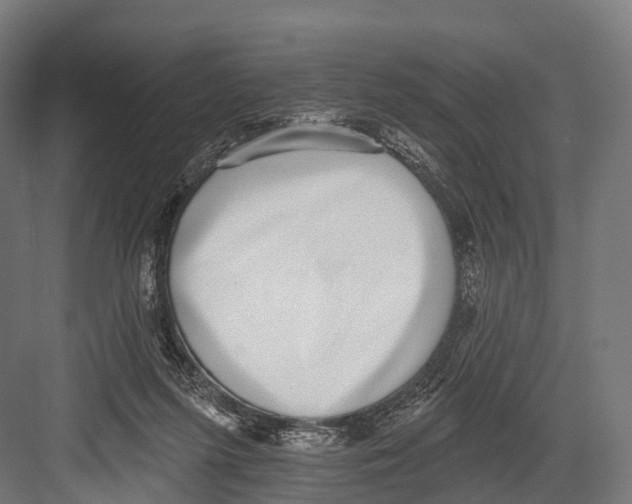 X0000081580215200702121456