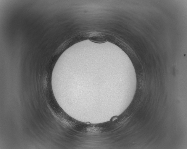 X0000081580216200702121456