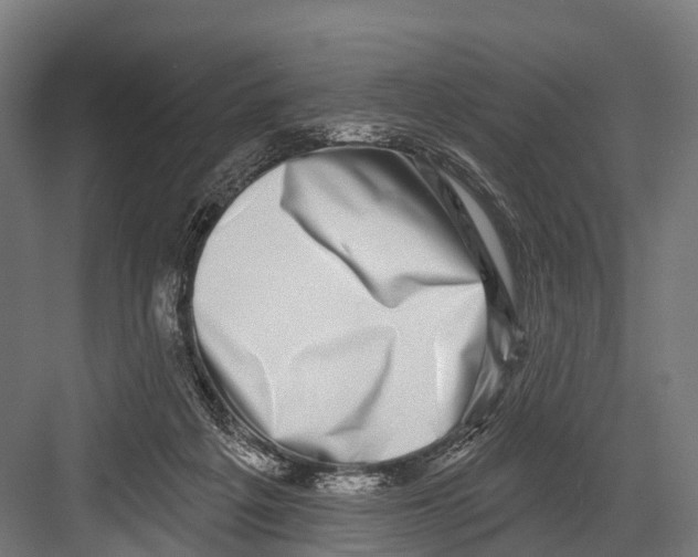 X0000081580217200702121456