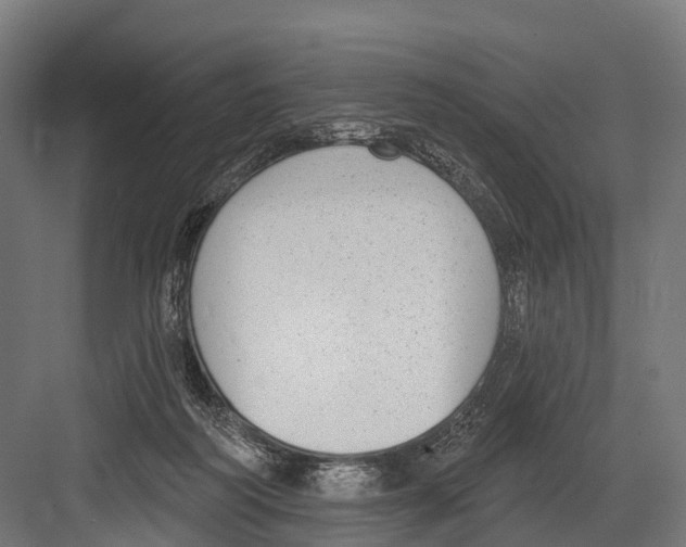 X0000081580218200702121456