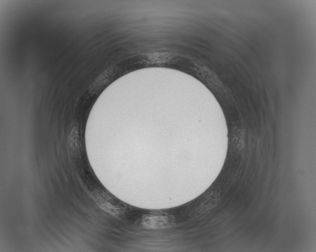 X0000081580220200702121456