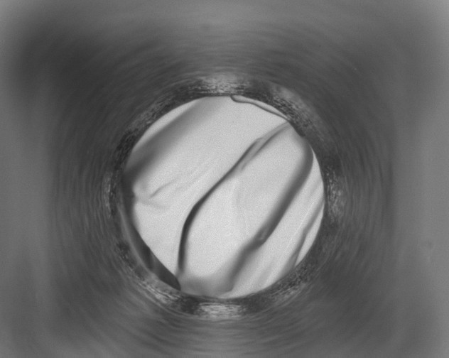 X0000081580221200702121456