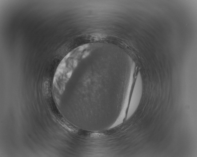 X0000081580222200702121456