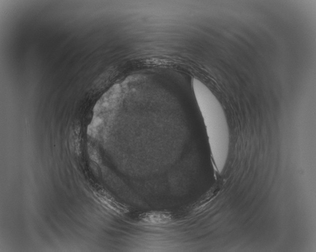 X0000081580223200702121456