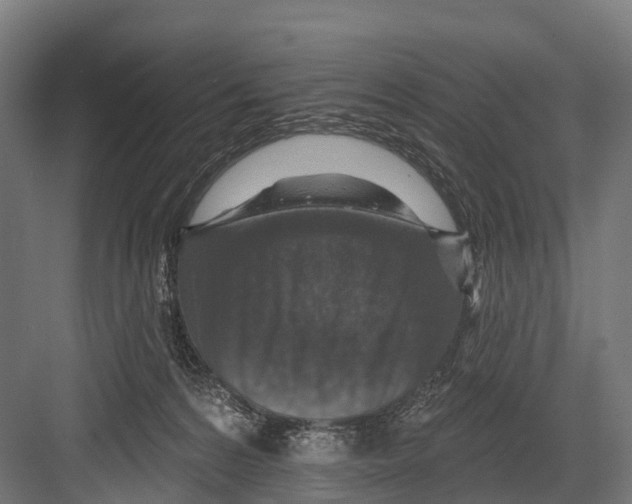 X0000081580224200702121456