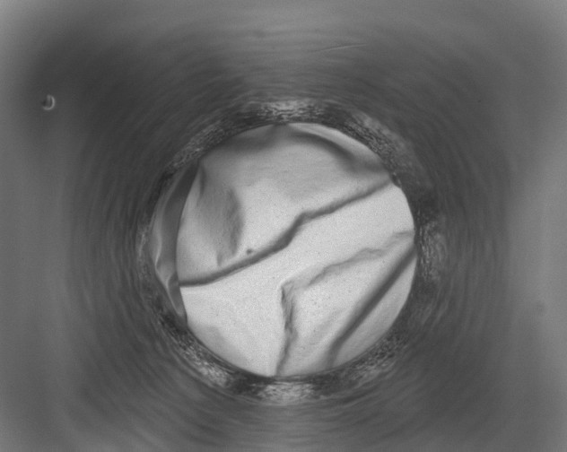 X0000081580225200702121456