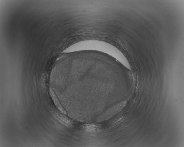 X0000081580229200702121456