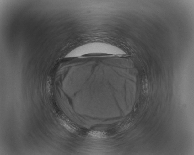 X0000081580231200702121456