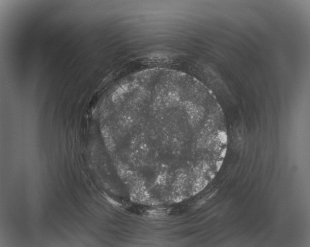 X0000081580232200702121456