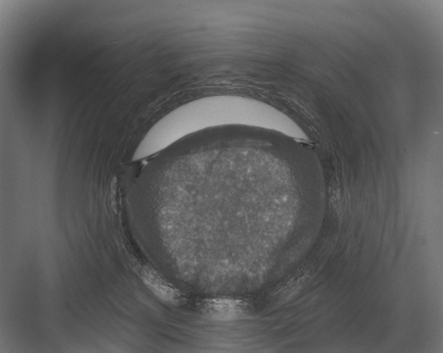 X0000081580233200702121456