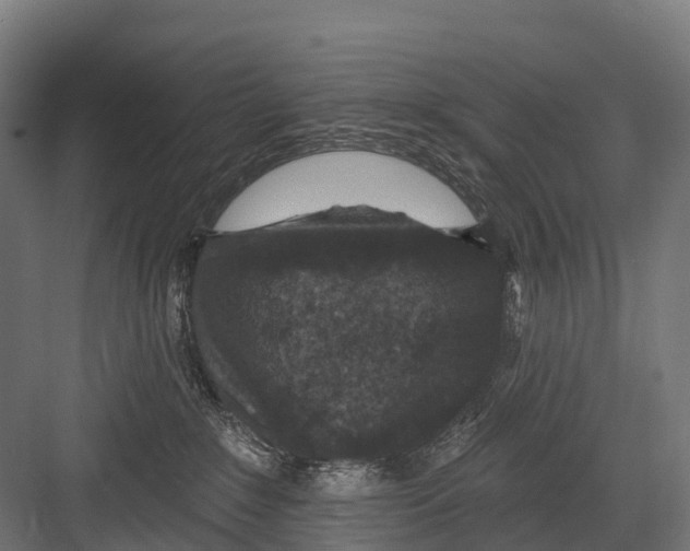 X0000081580235200702121456