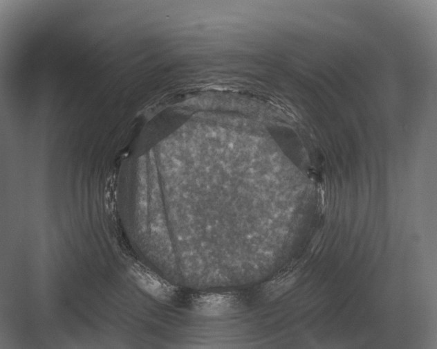 X0000081580237200702121456