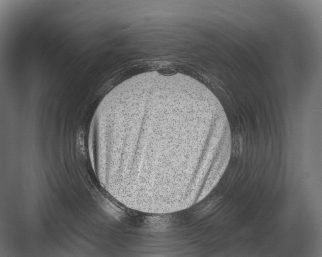 X0000081580238200702121456