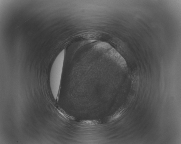 X0000081580239200702121456