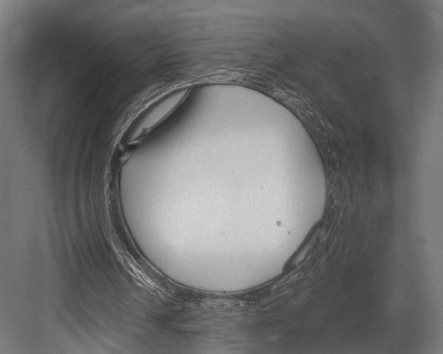 X0000081580242200702121455